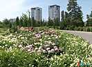 Волгоградцев 24-26 мая ждёт жара до +29°C и сильный ветер до 13 м/с
